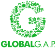 GlobalG-2